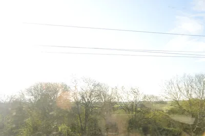 DSC_7169 (Large).JPG